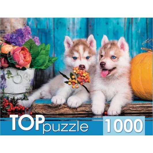 TOPpuzzle. ПАЗЛЫ 1000 элементов. ШТТП1000-7180 Два щенка хаски